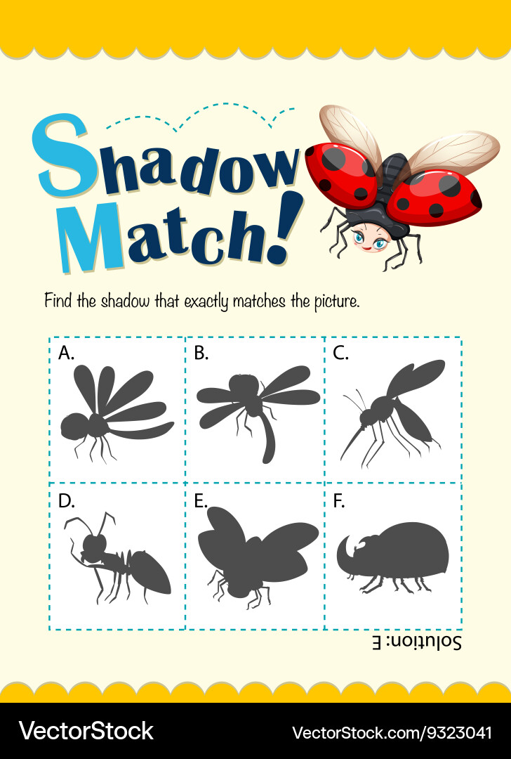 Game template for shadow matching bugs vector image