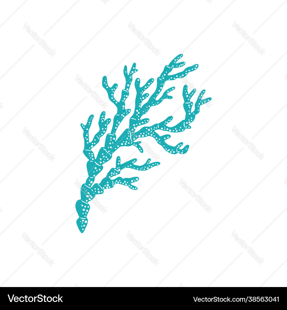 Hard coral seaweed aquatic underwater organism Hard coral seaweed aquatic underwater organism vector image