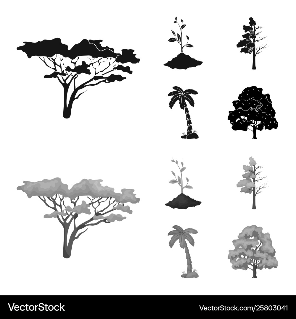 Isolated object tree and forest logo set Vector Image