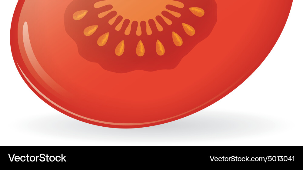 Red tomato Royalty Free Vector Image - VectorStock