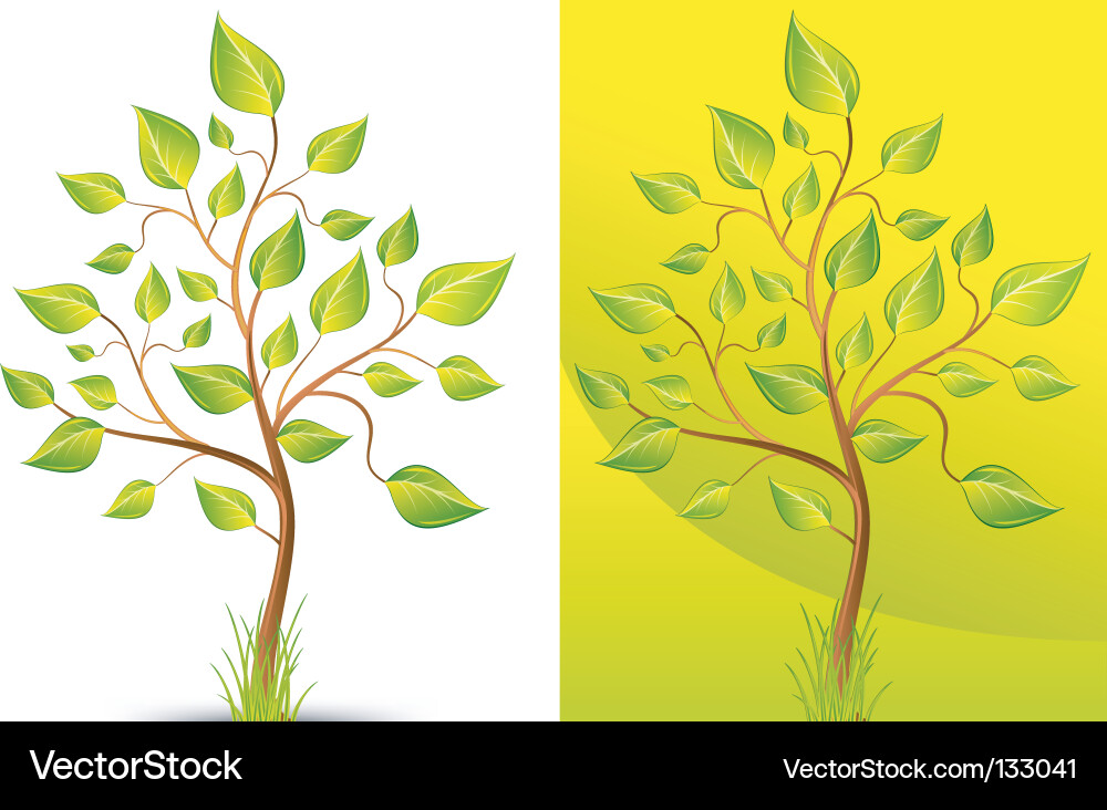 Trees vector image