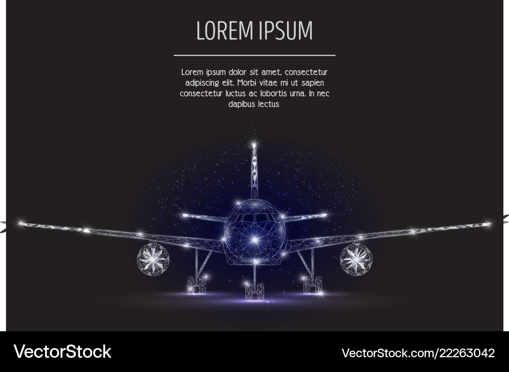 Geometric Airliner Art Vector Image