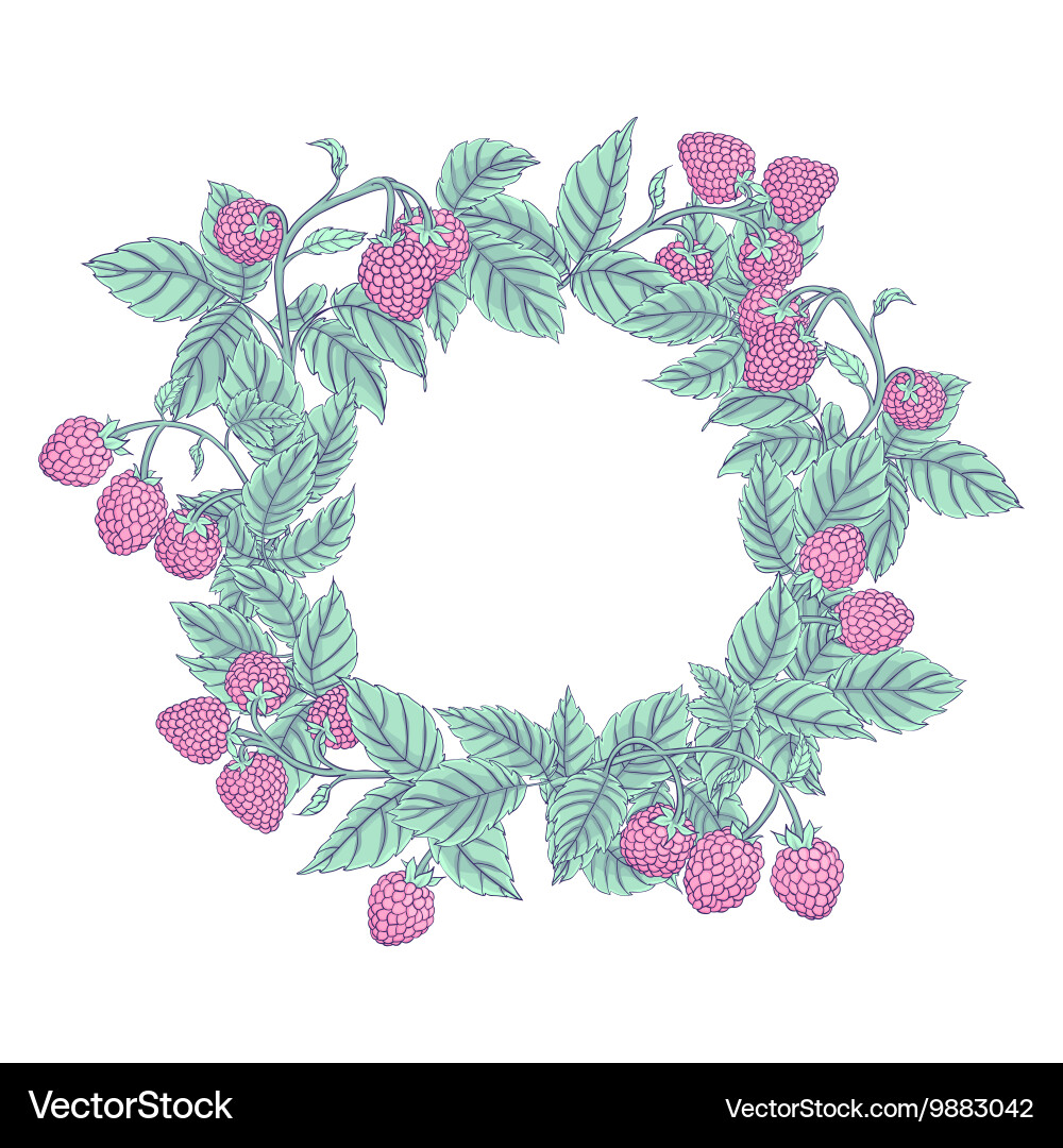 Raspberry frame Vector Image