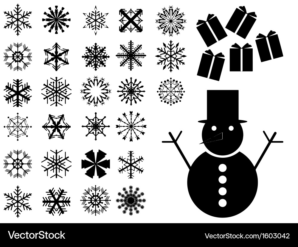 Snowflake Collection Vector Image