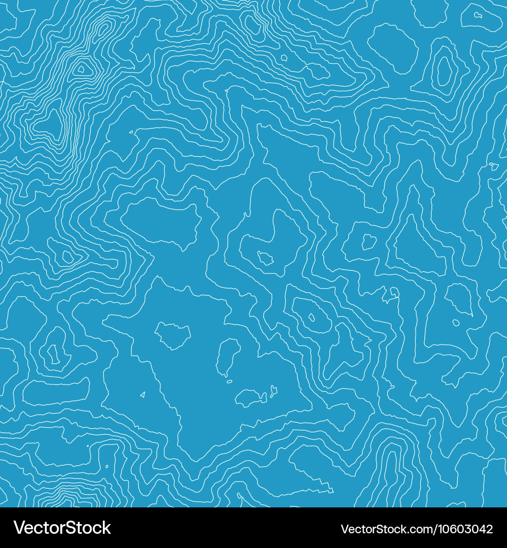 Topographic map background concept with space vector image
