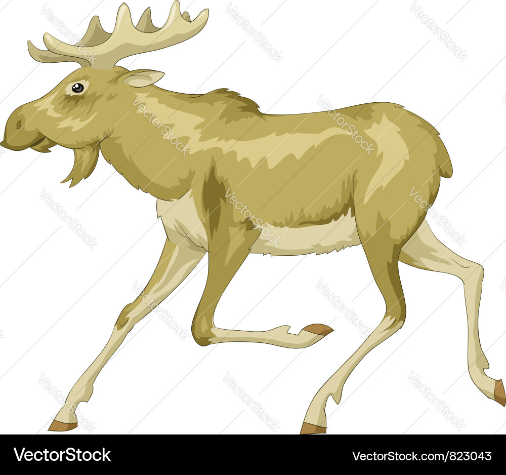 Running Moose Portrait vector image