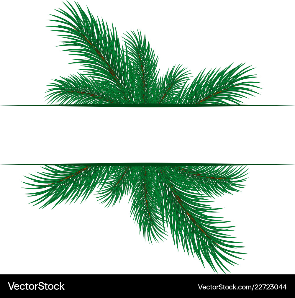 Frame with spruce branches Vector Image