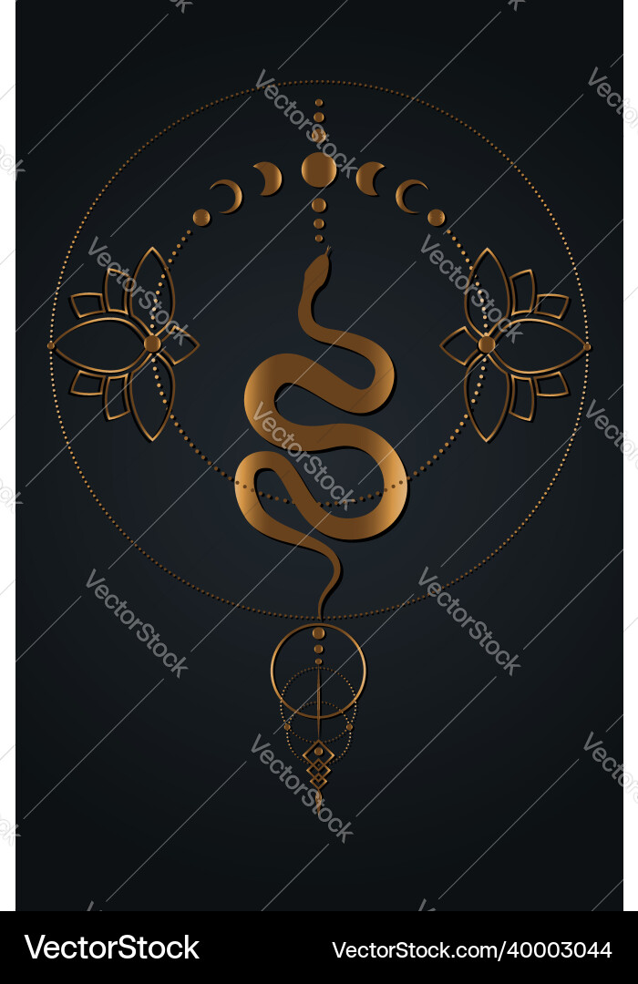 Magic mystic snake moon phases sacred geometry Magic mystic snake moon phases sacred geometry vector image