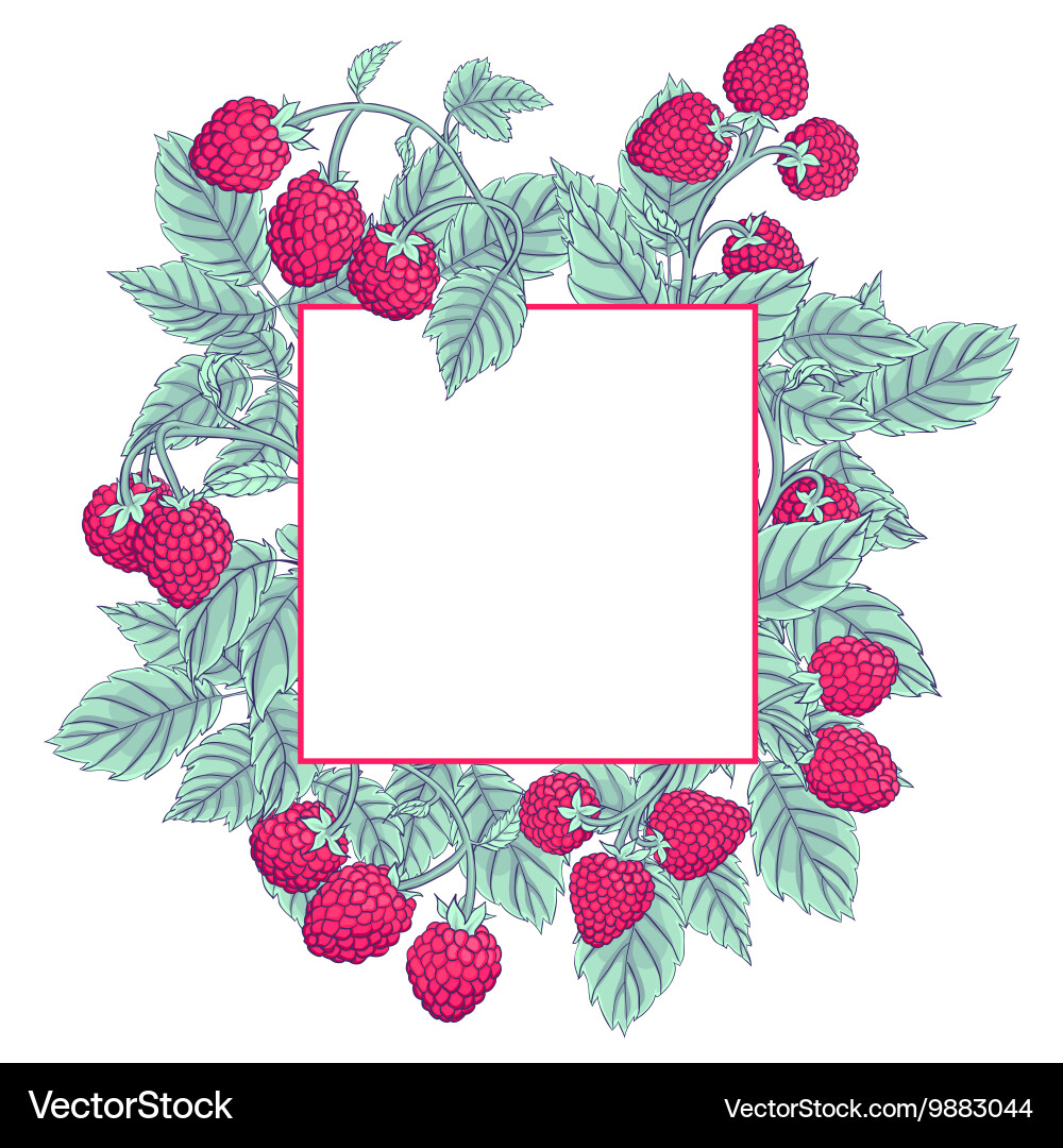 Raspberry frame Vector Image