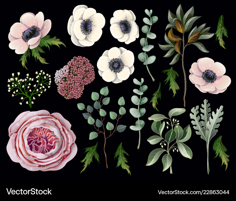 Set with botanical elements such us anemone Set with botanical elements such us anemone vector image