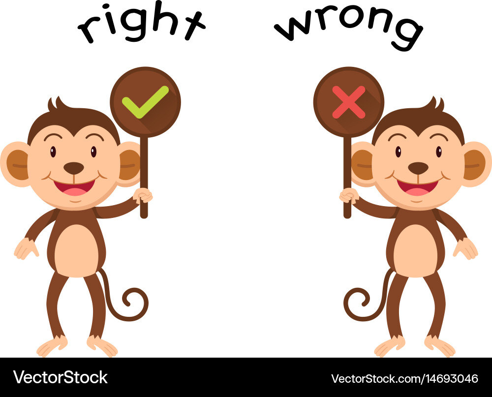 Opposite words right and wrong Royalty Free Vector Image