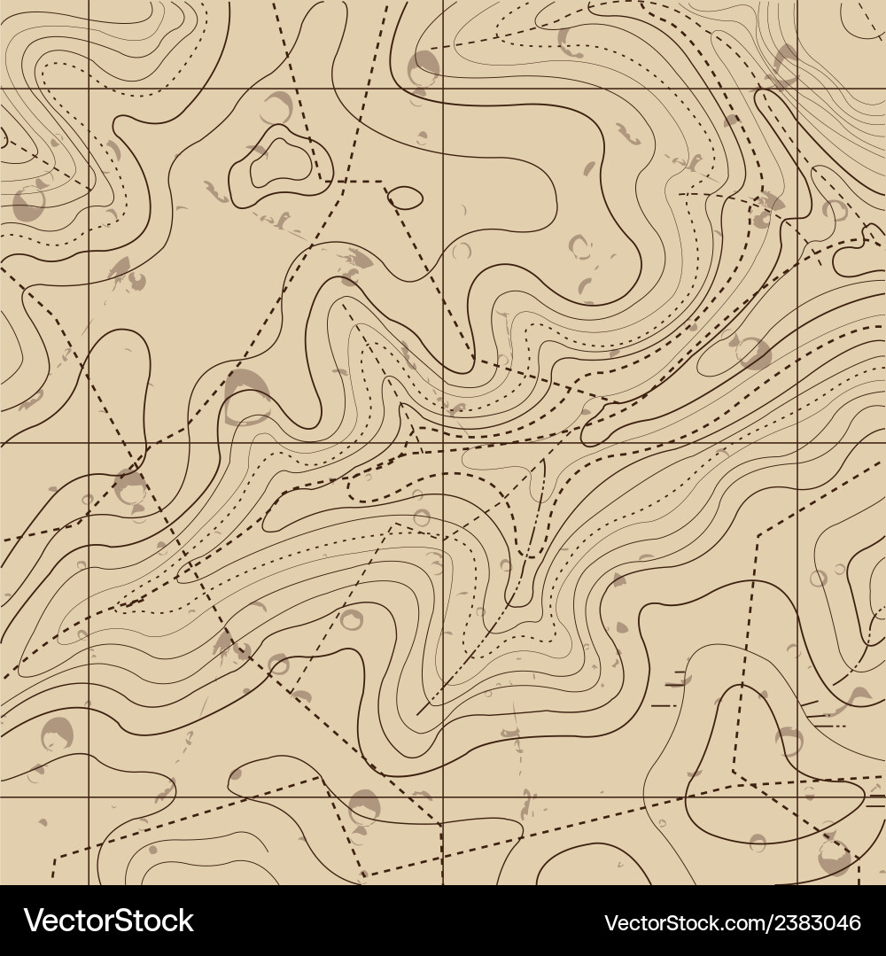 Retro Topography Map Background vector image