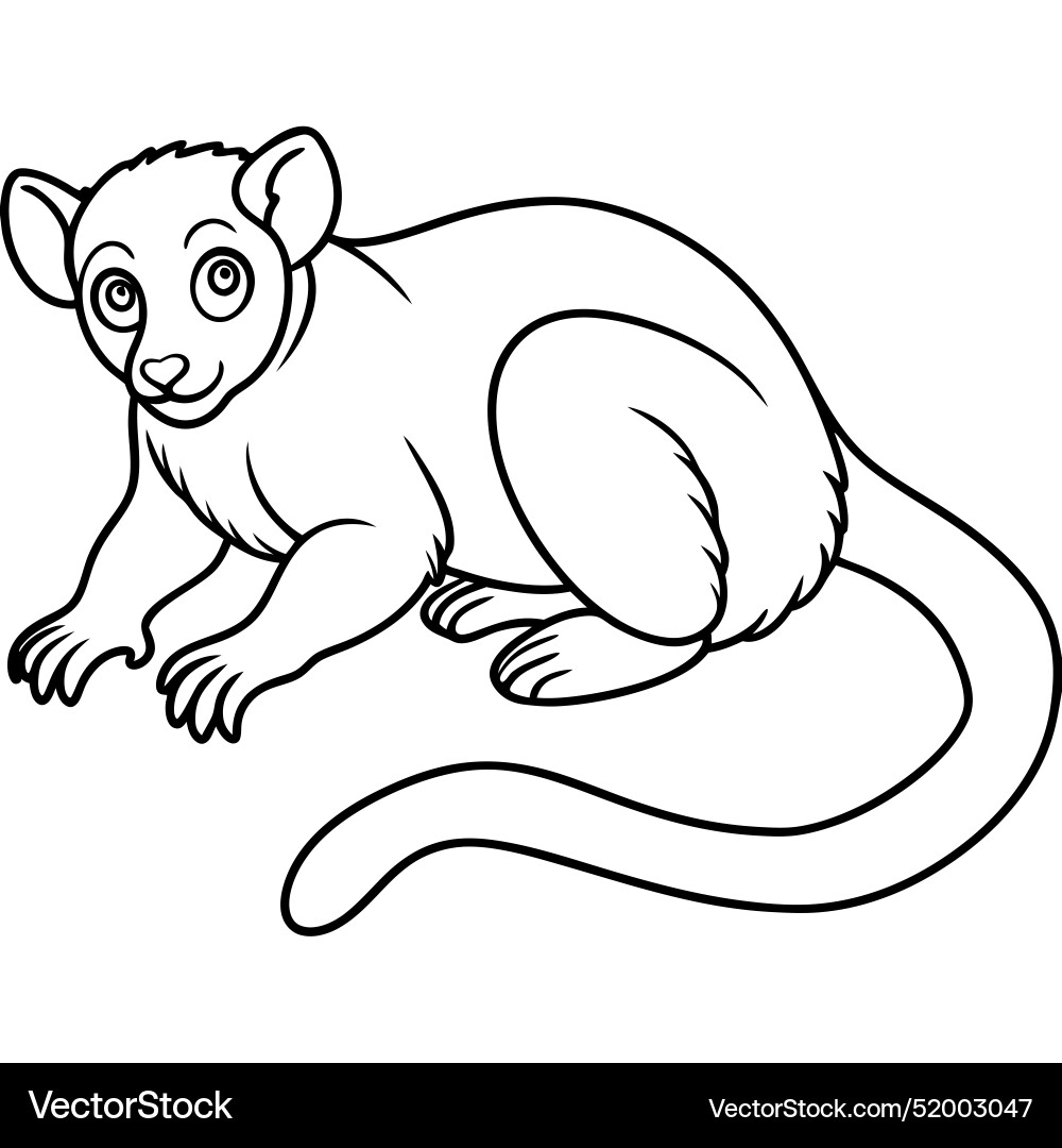 Common cuscus monkey lies icon Vector Image
