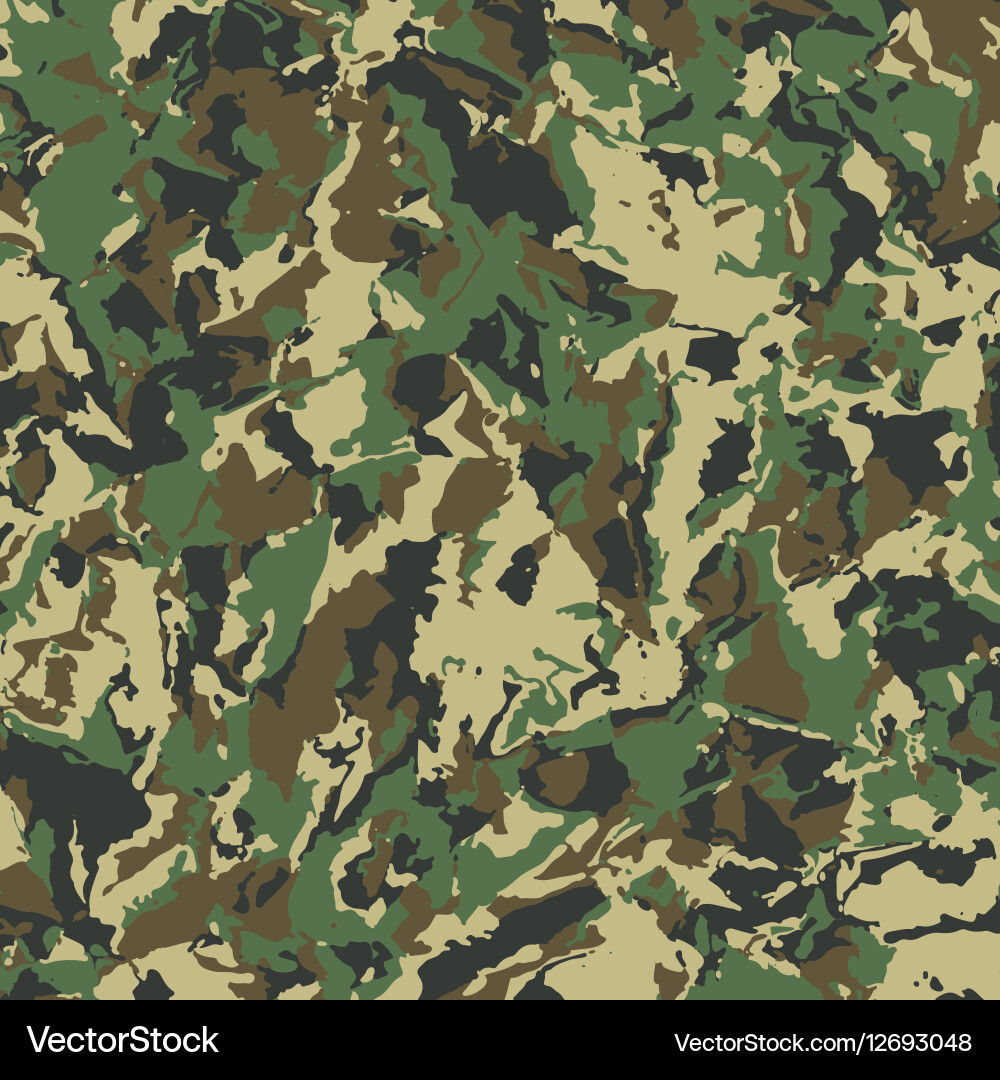 Abstract Camouflage Splash Pattern vector image