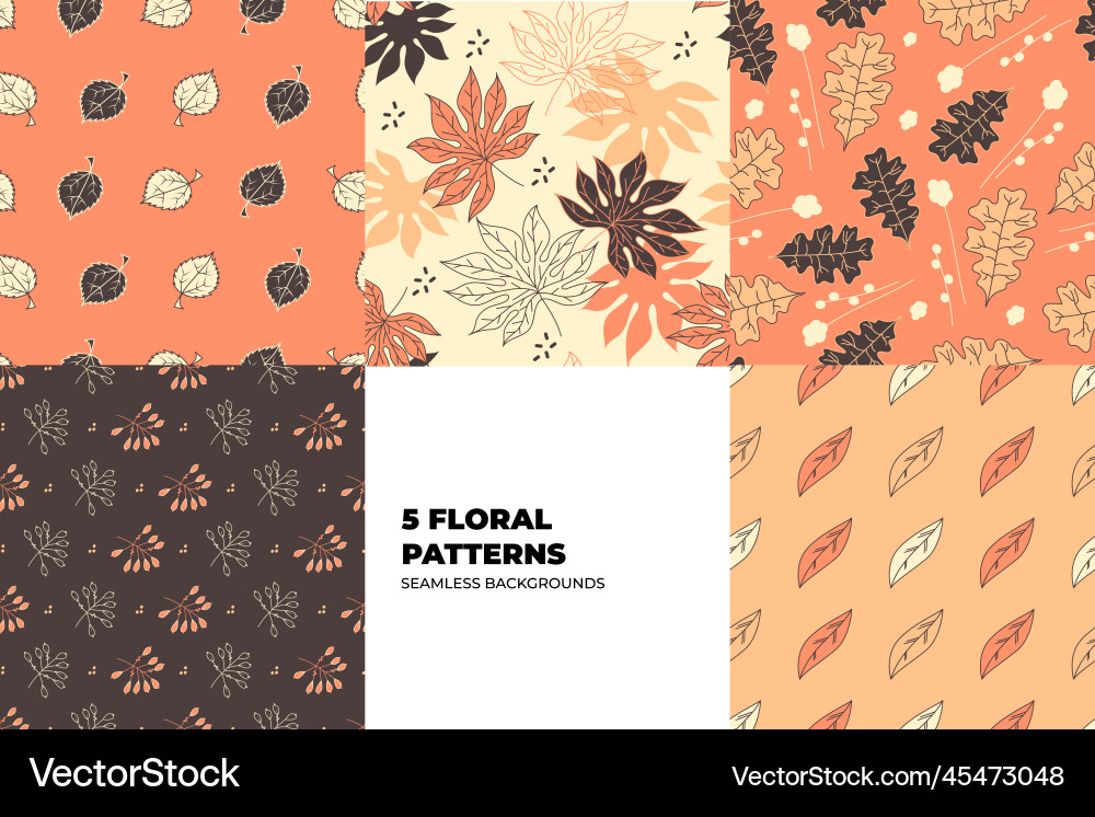 Botanical patterns set Vector Image
