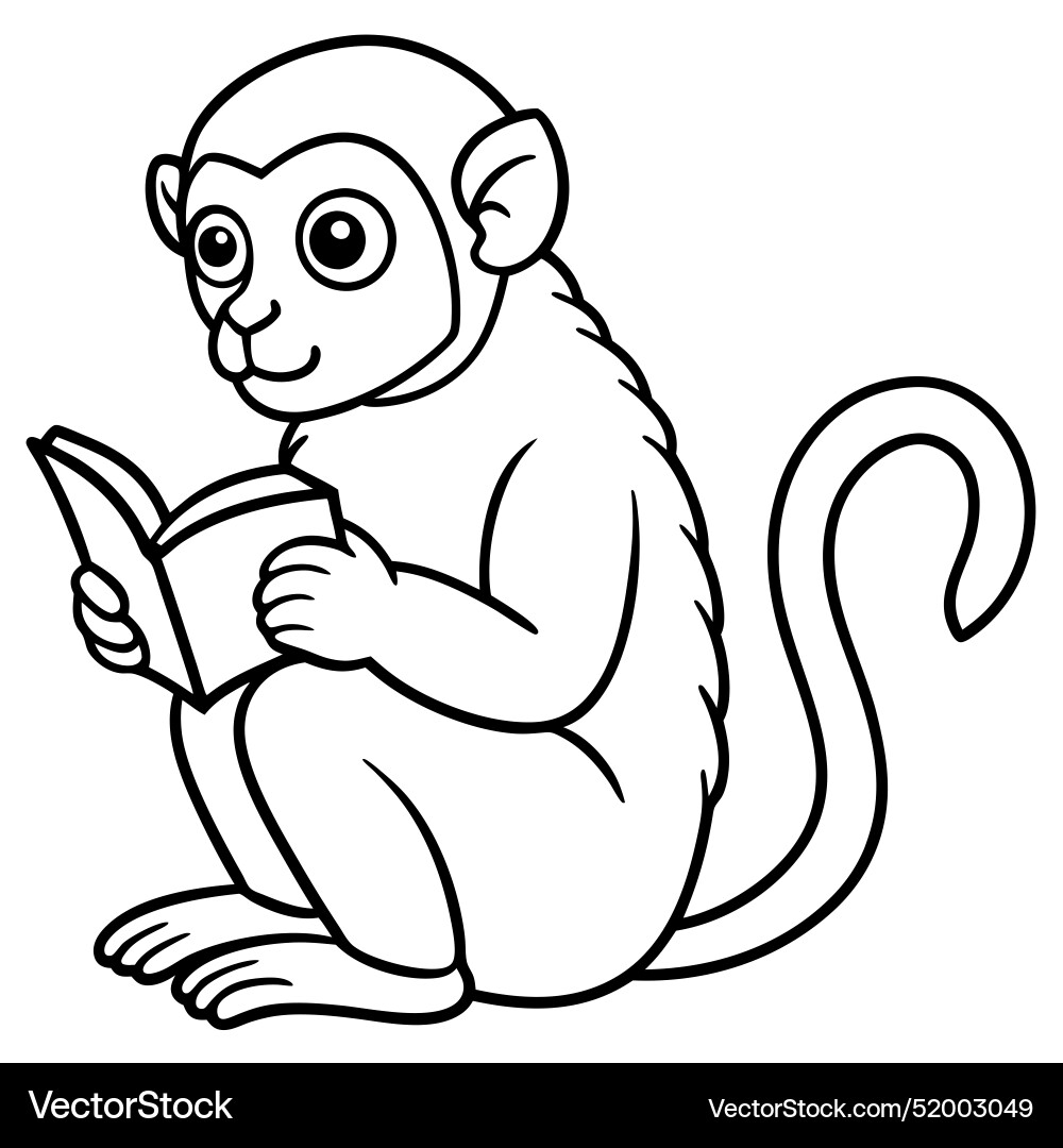 Common cuscus monkey reading icon Common cuscus monkey reading icon Vector Image