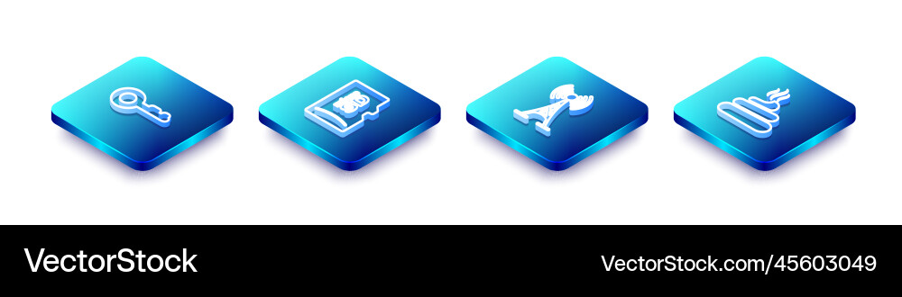 Set isometric line key micro sd memory card Vector Image