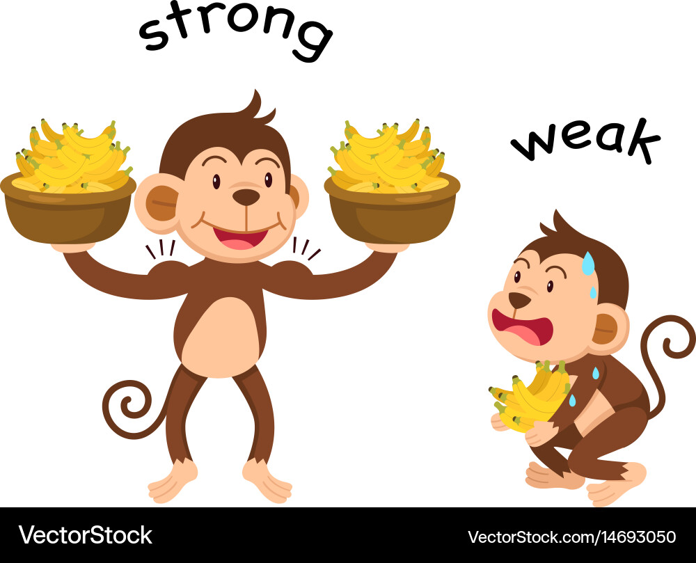 Opposite words strong and weak vector image