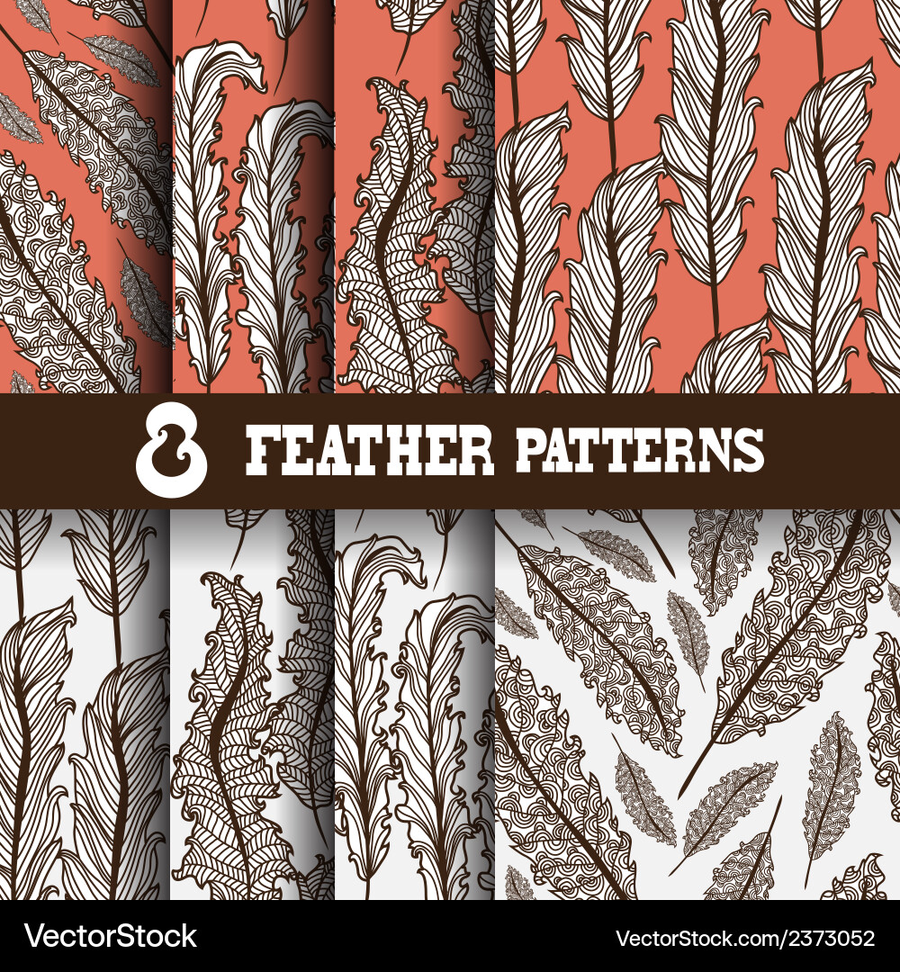 Elegant Feather Pattern Set vector image