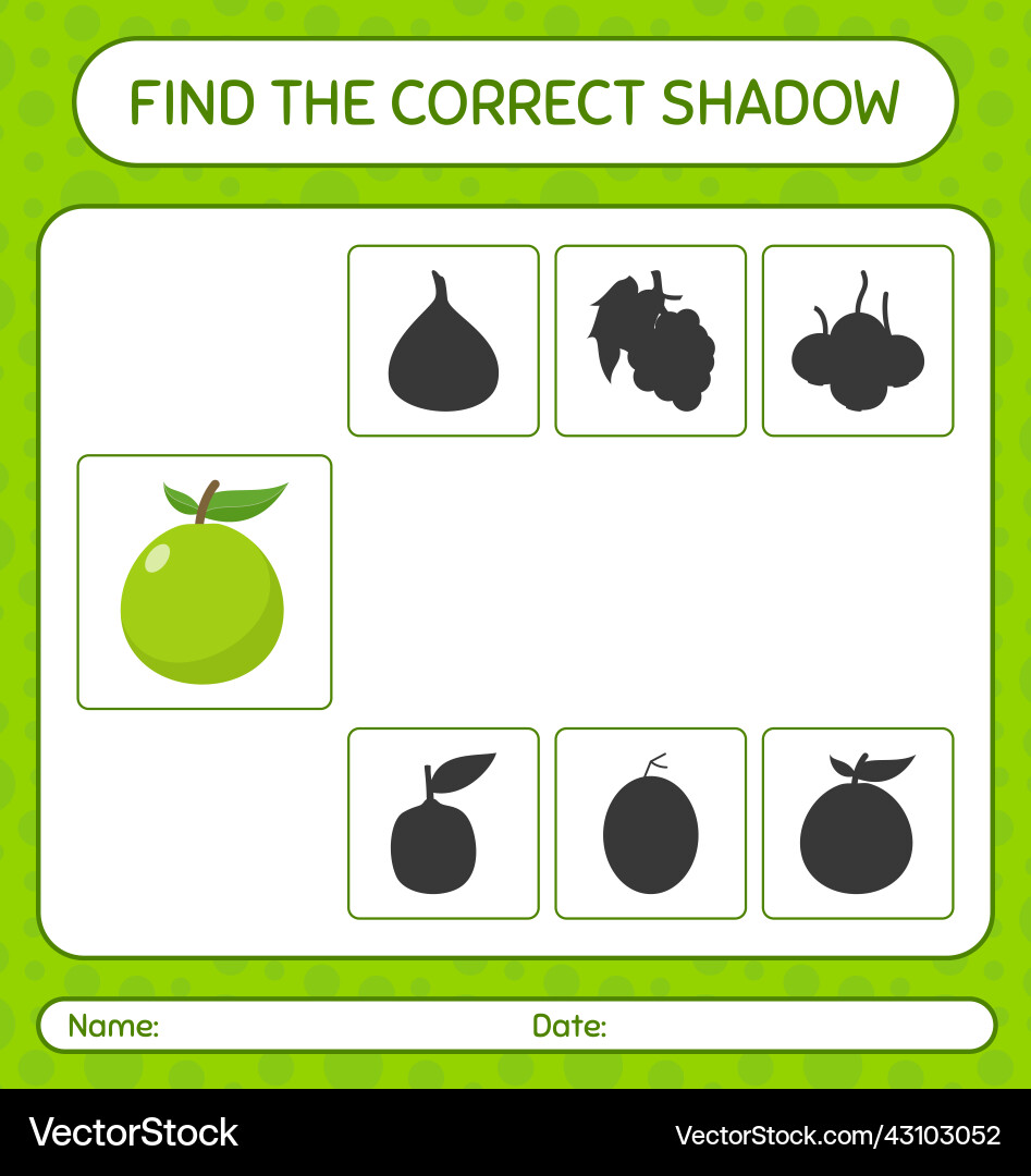 Find the correct shadows game with guava Find the correct shadows game with guava vector image