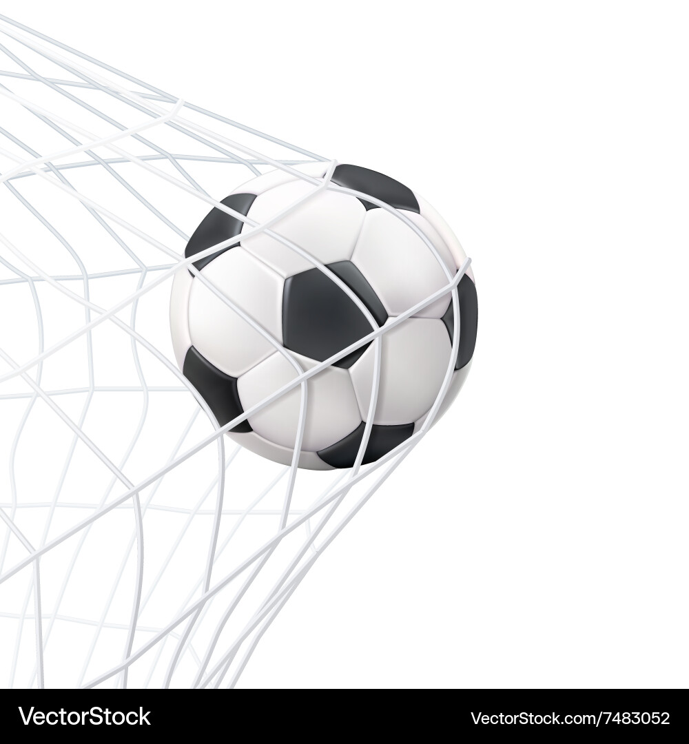 Soccer Ball in Goal Pictogram Vector Image