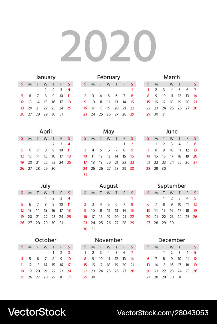 2020 calendar template year pocket planner 2020 calendar template year pocket planner vector image