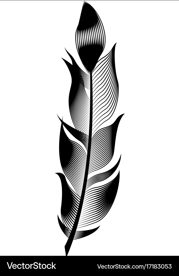 Stylized bird feather linear object Vector Image
