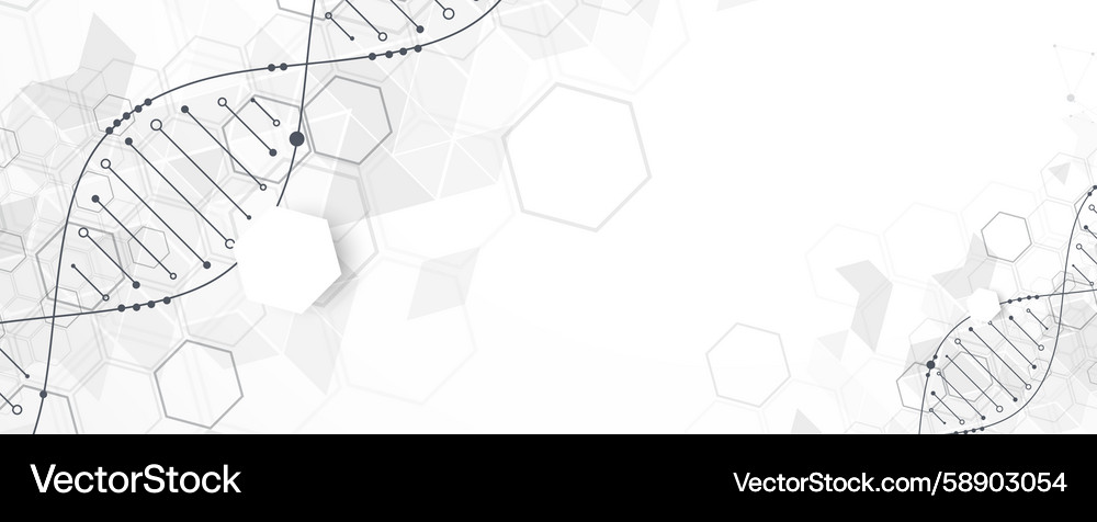 Abstract Futuristic Hexagon Background Vector Image