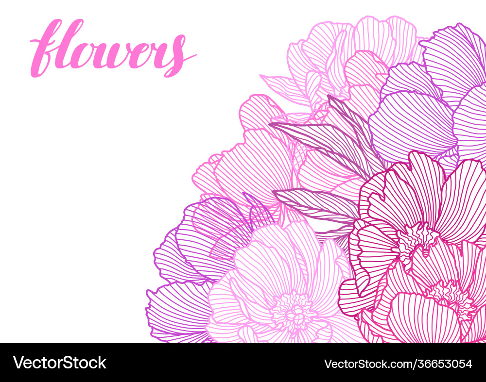 Background with linear peonies Background with linear peonies vector image