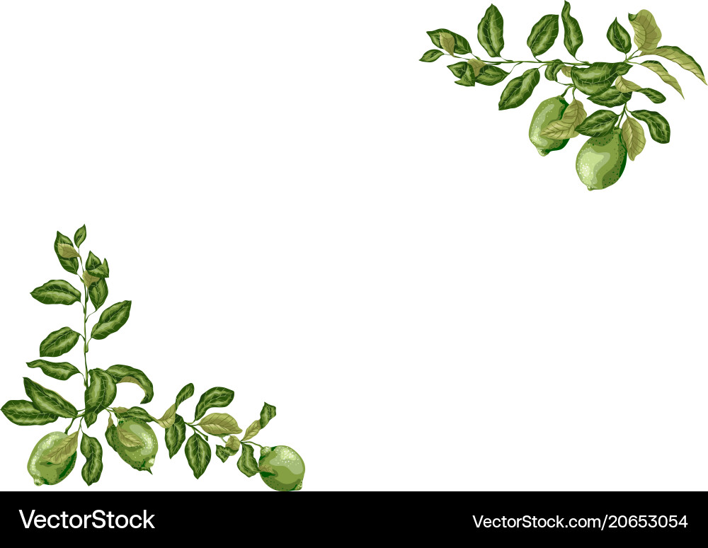 Horizontal frame with lime and lemon branches Horizontal frame with lime and lemon branches vector image