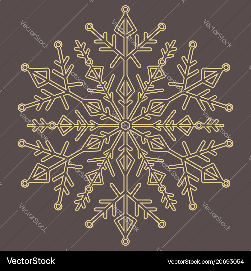 Pretty round snowflake Pretty round snowflake vector image