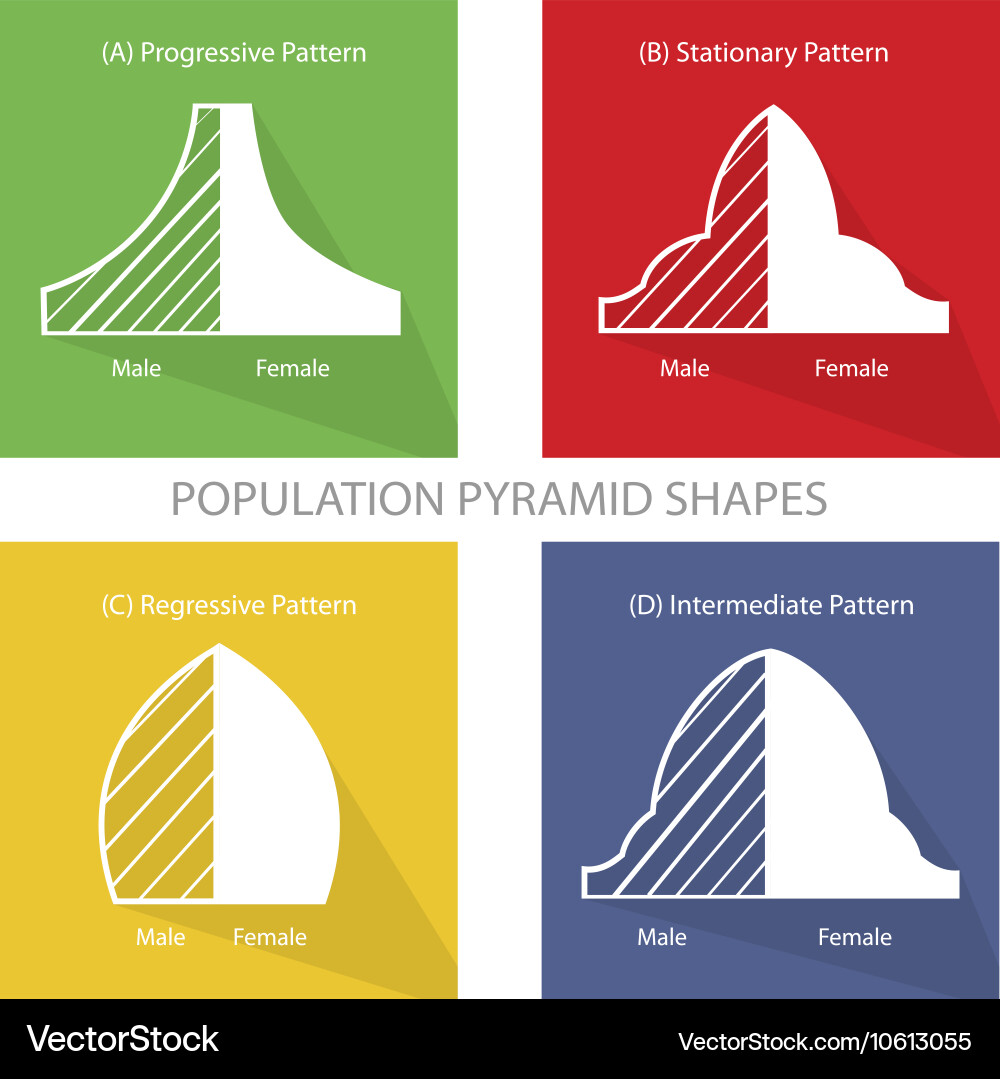 4 types of population pyramids graphs Vector Image