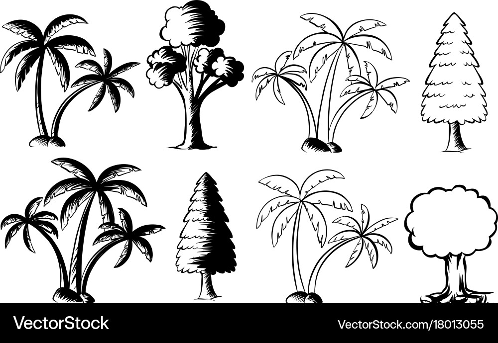 Different types of trees Vector Image