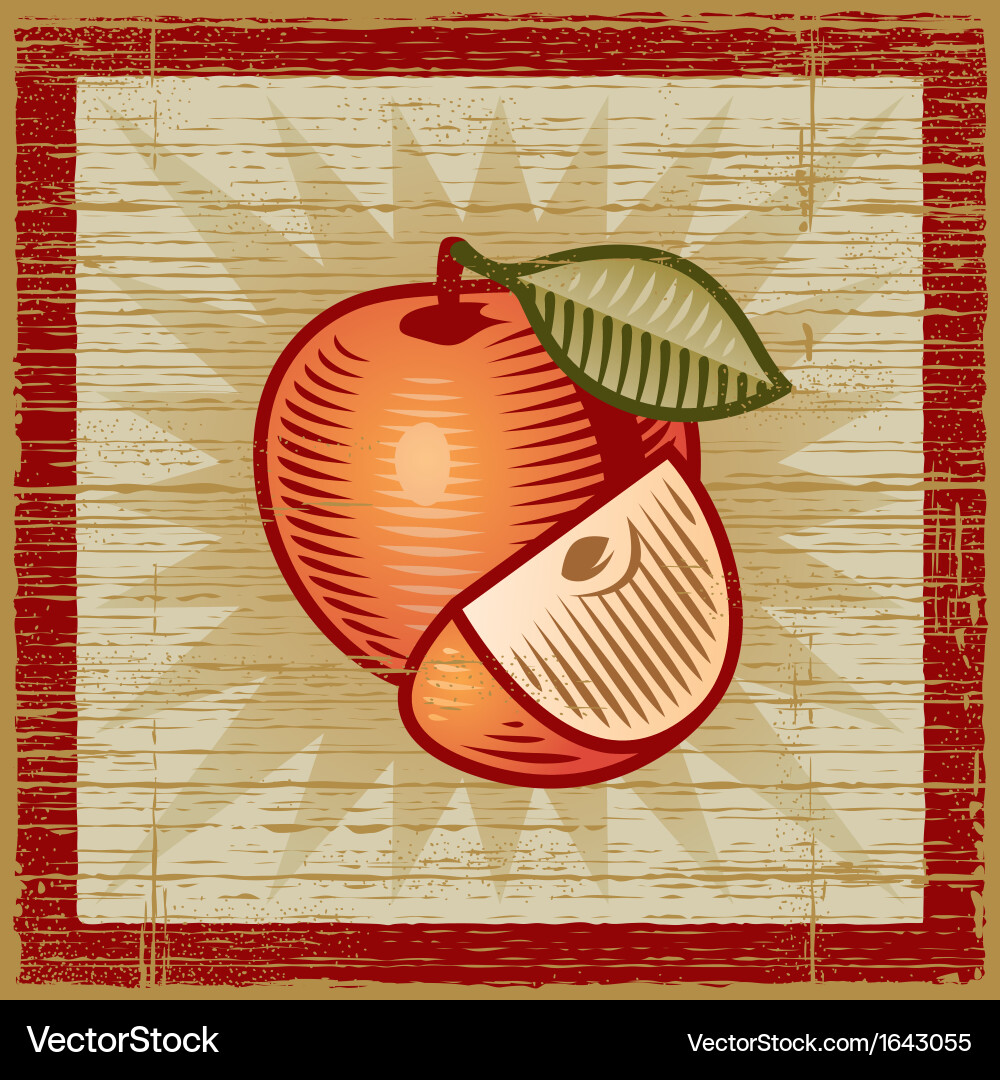 Rustic Apple Slice vector image