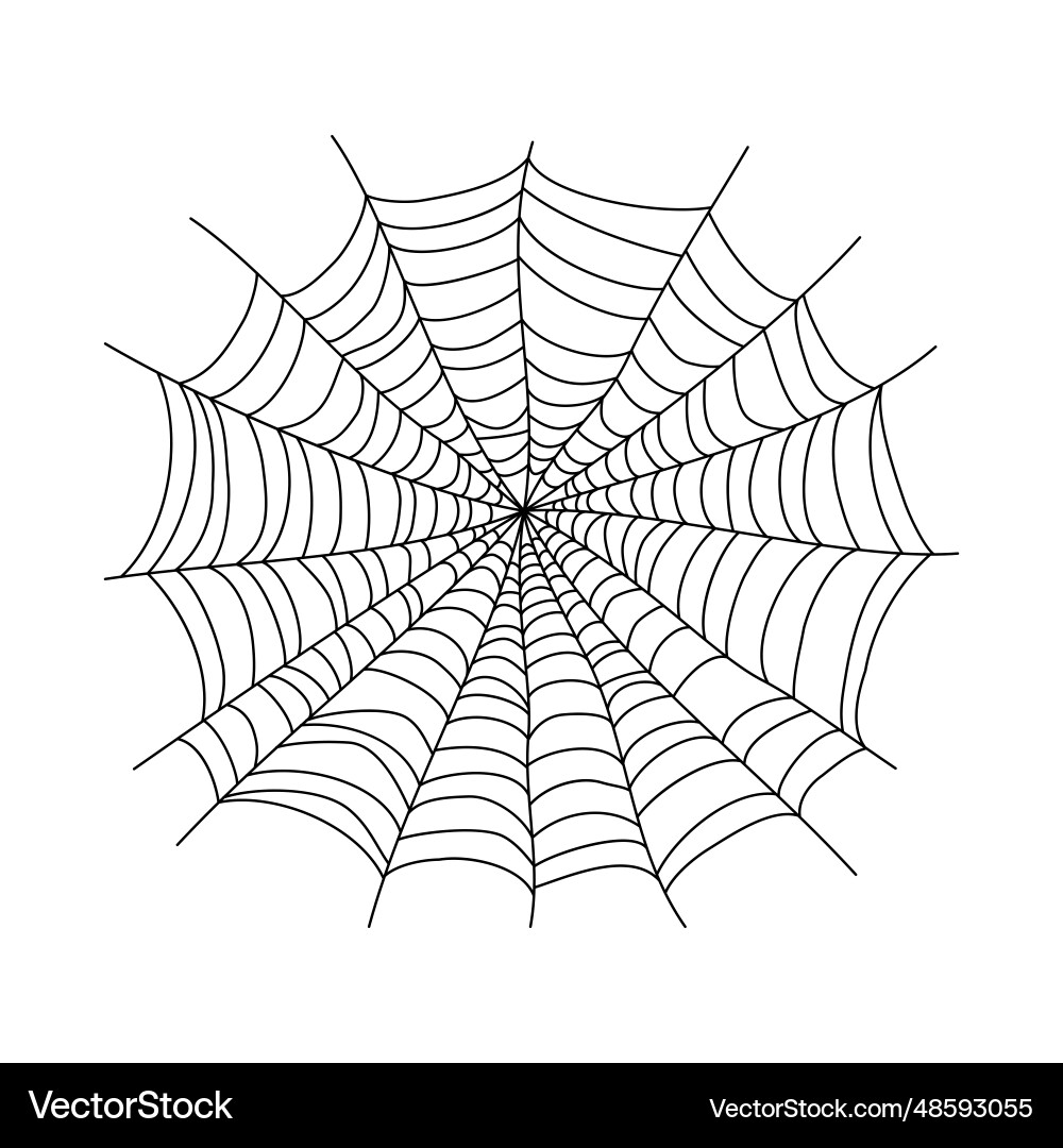 Spider web design element abstract texture Spider web design element abstract texture vector image