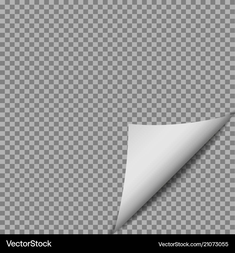 White gradient paper curl with shadow isolated White gradient paper curl with shadow isolated vector image