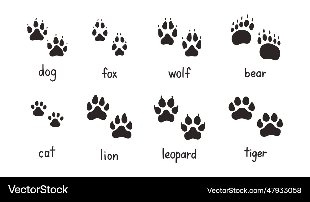 Animal Paw Prints Collection Vector Image