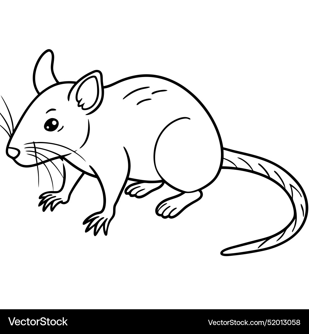 Galapagos rice rat mouse sits icon Royalty Free Vector Image