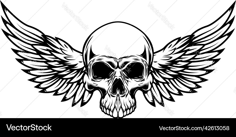 Winged skull design element for emblem sign vector image