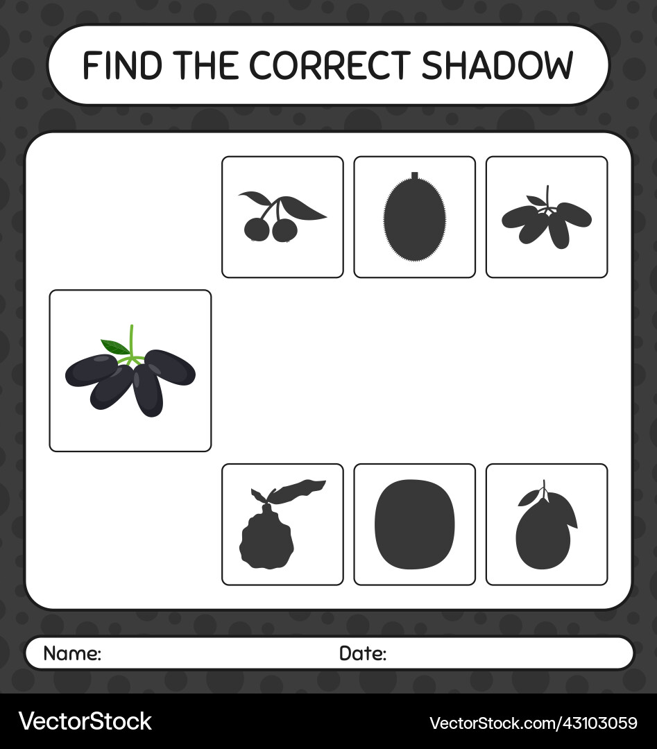 Find the correct shadows game with jambolan vector image