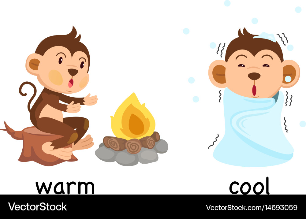 It is good for colds