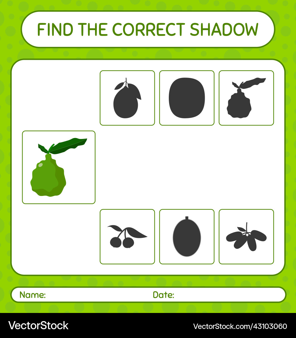 Find the correct shadows game with kaffir lime Find the correct shadows game with kaffir lime vector image
