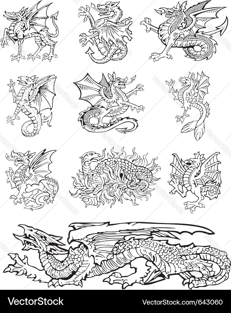 Medieval Dragon Coats of Arms Vector Image