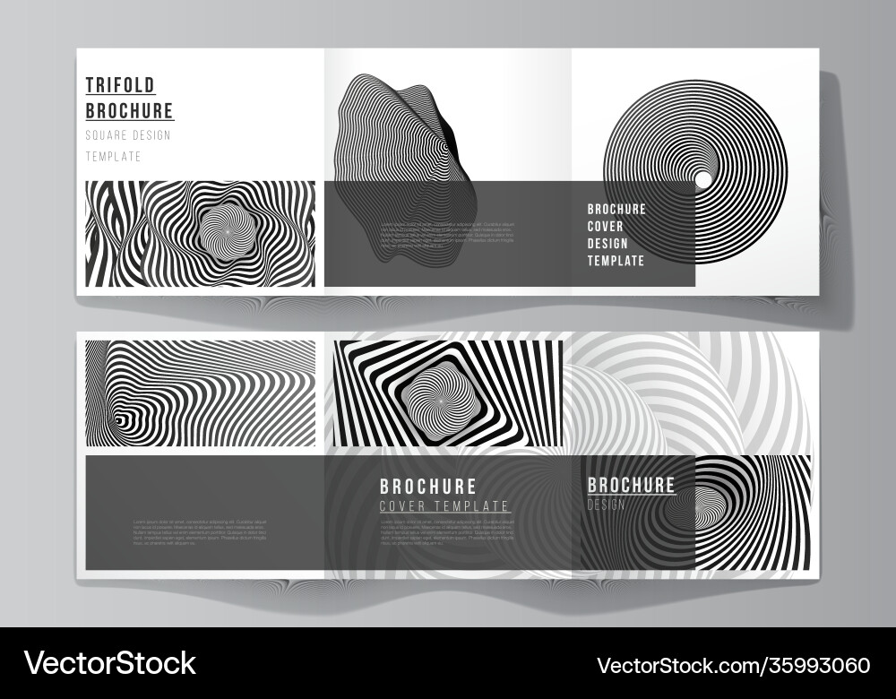 Minimal editable layout square format Minimal editable layout square format vector image