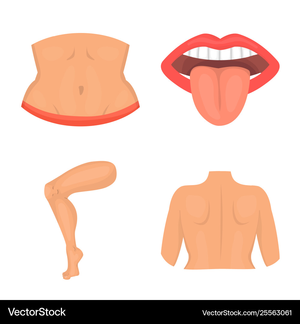 Isolated object body and part icon collection Isolated object body and part icon collection vector image