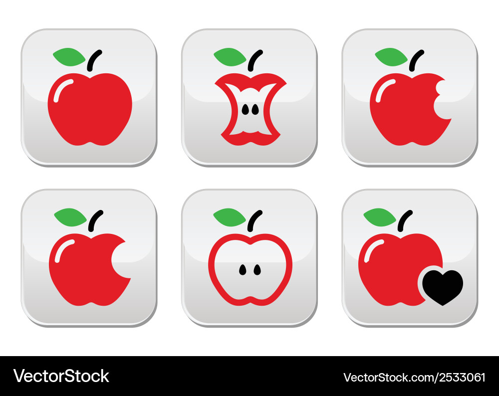 Red apple core bitten half buttons vector image