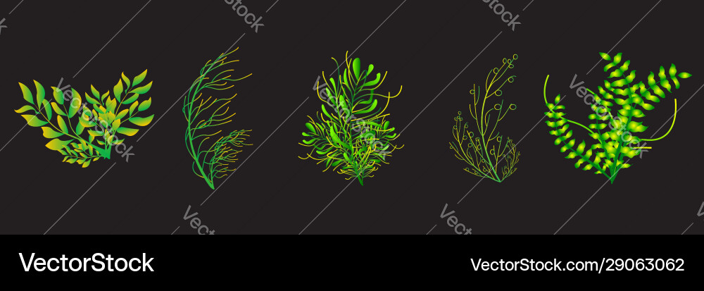 Creative trees with leaves Creative trees with leaves vector image