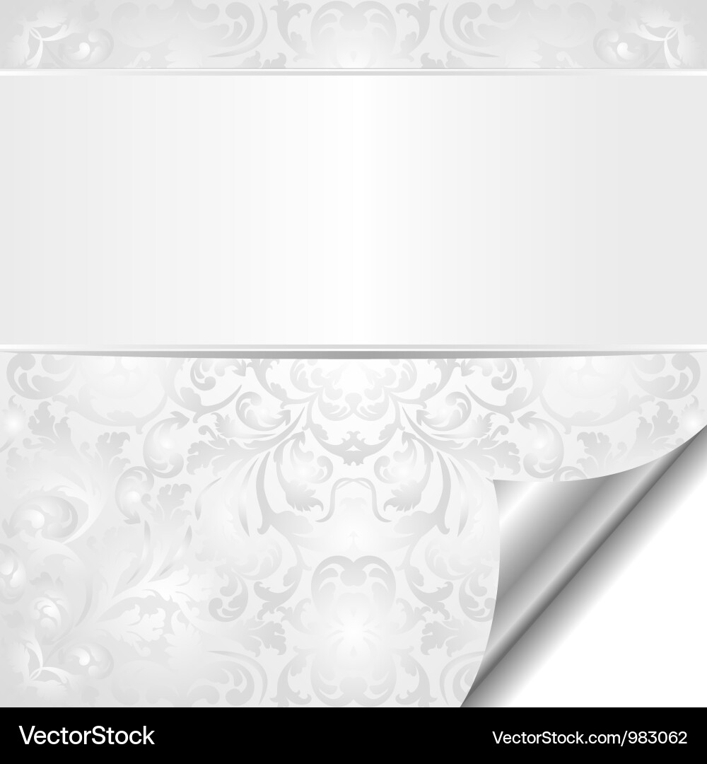 Elegant White Scroll Background vector image
