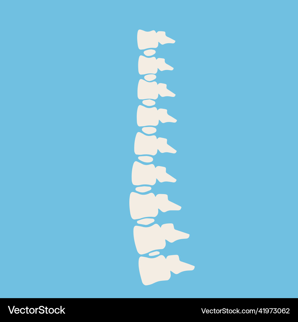 Problems with spine posture issues Problems with spine posture issues vector image