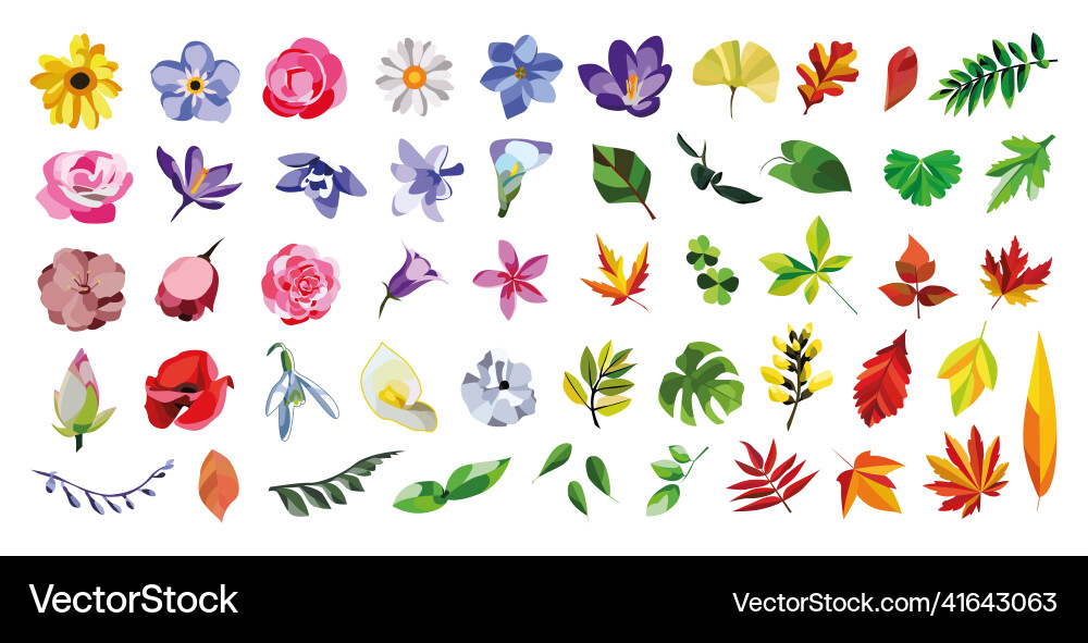 Floral Leaf Collection Vector Image